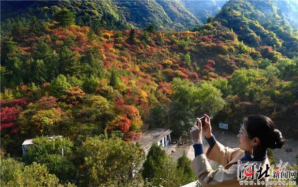 到仙台山赏“2019中国最美森林”
