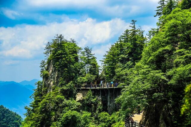 洛阳首发,登上“国家名片”!更有… 洛阳首发,登上“国家名片”!更有…