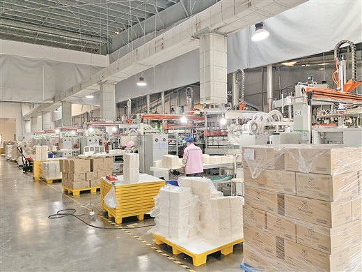 广西龙州:蔗渣变身 热销海外