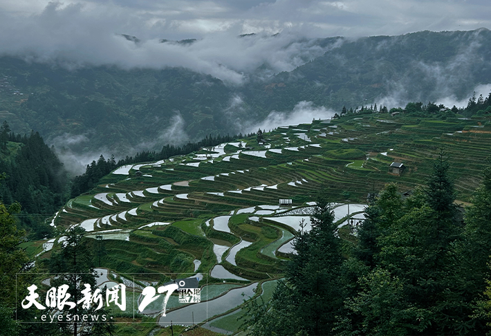 夏至已至,贵州乘凉有“凉”方