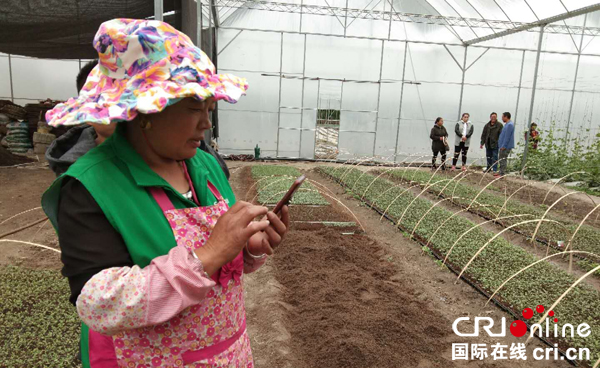 图片默认标题_fororder_王成亿正在田间地头给儿子发微信----摄影--张黎萍