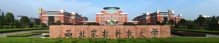 2024强国教育招生季|西北农林科技大学:优化招生专业结构 深化培养模式改革 培养未来农业创新人才 2024强国教育招生季|西北农林科技大学:优化招生专业结构 深化培养模式改革 培养未来农业创新人才_fororder_6
