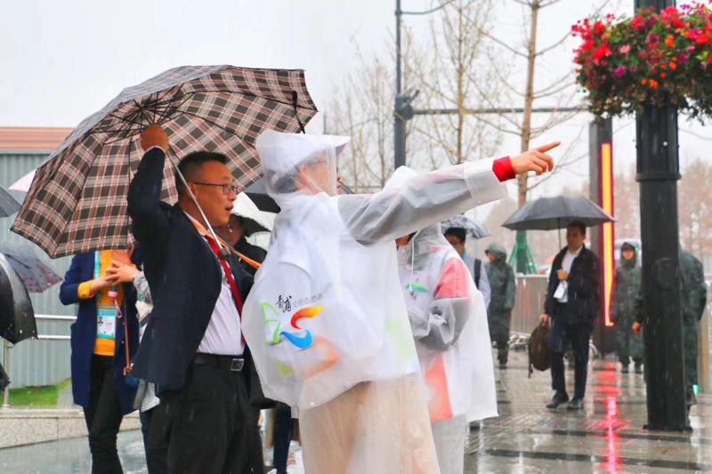 [上观新闻]这些天，800多株“微笑四叶草”整装上阵，向全球宾客