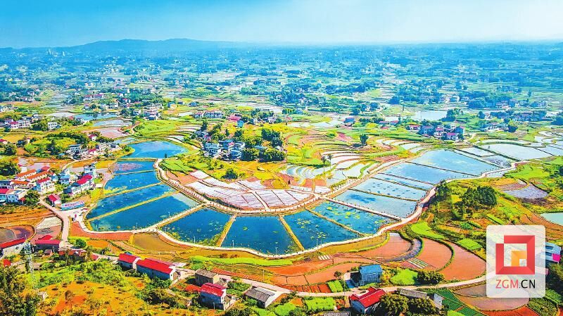 (转载)奋力创建“四川城乡融合发展示范区”——富顺县积极促进城乡双向融合探索发展新途径