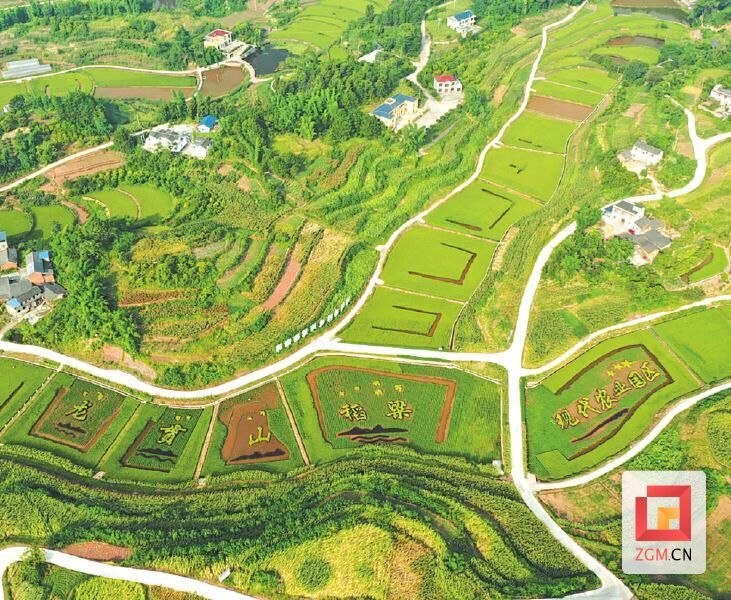 (转载)奋力创建“四川城乡融合发展示范区”——富顺县积极促进城乡双向融合探索发展新途径