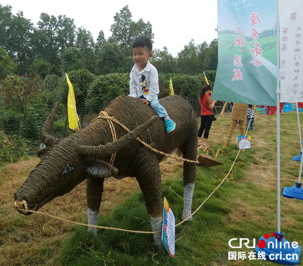 图片默认标题_fororder_骑骑“牛”（摄影-杨建昆）