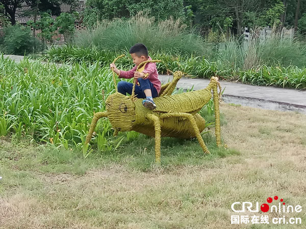 图片默认标题_fororder_骑骑“昆虫”（摄影-杨建昆）