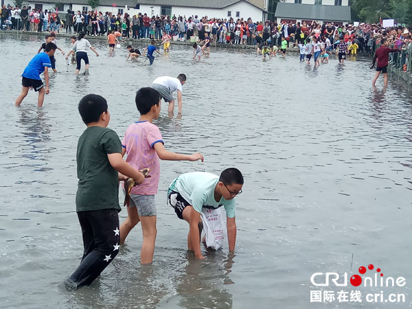 图片默认标题_fororder_趣味摸鱼（摄影-杨建昆）