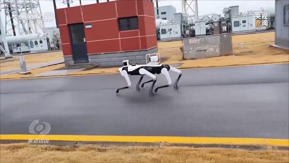 焦点访谈丨如何让AI智能向善?“中国智”给出答案→