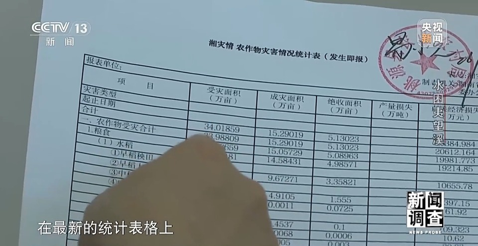 新闻调查丨罕见特大暴雨来袭 洪水围困的夷望溪镇经历了什么?