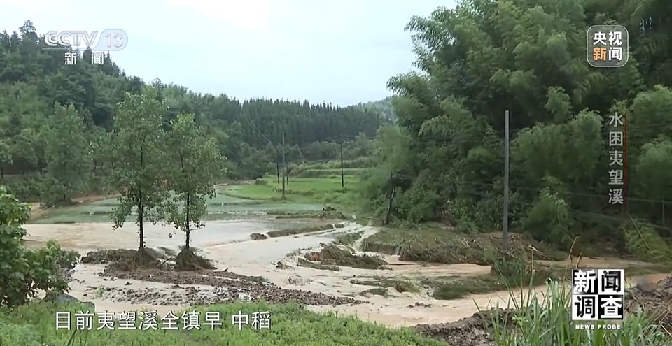 新闻调查丨罕见特大暴雨来袭 洪水围困的夷望溪镇经历了什么?