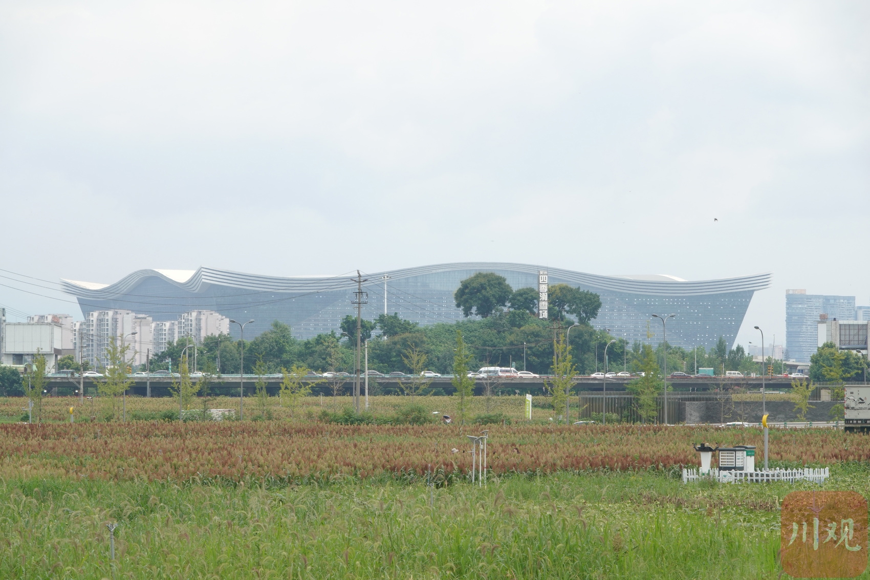 (转载)火热八月!成都环城生态区的高粱红了