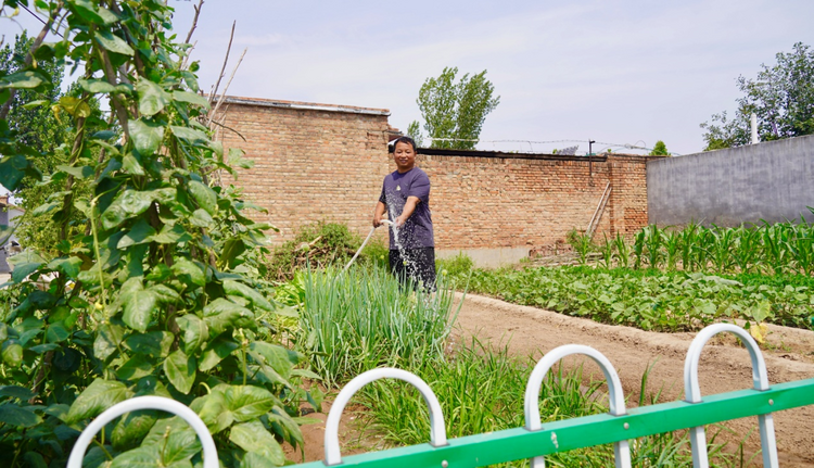 河北东光:建设和美乡村 扮靓大运河畔_fororder_图片 2