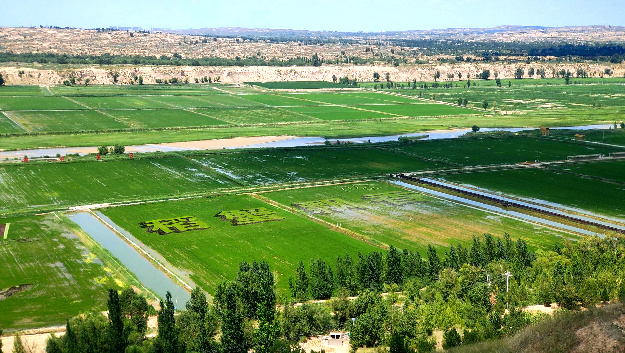 榆林横山:“虾蟹”共舞促增收 生态养殖打造特色品牌_fororder_图片5