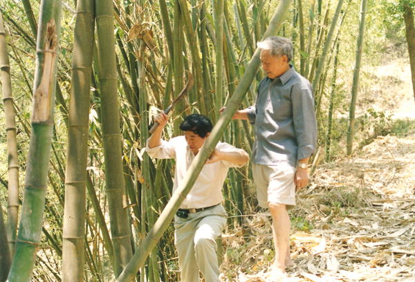 Kisah Wang Wei dan Orkestra Bambu Milik Dia Kisah Wang Wei dan Orkestra Bambu Milik Dia