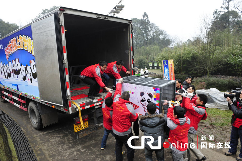 Panda Besar Akan Meramaikan Ekspo Dunia 2010 Panda Besar Akan Meramaikan Ekspo Dunia 2010