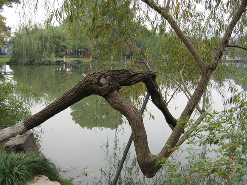 Danau Xihu