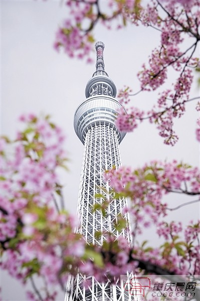 （城市远洋）【要闻  摘要】本月重庆开通 到大阪和东京直飞航线