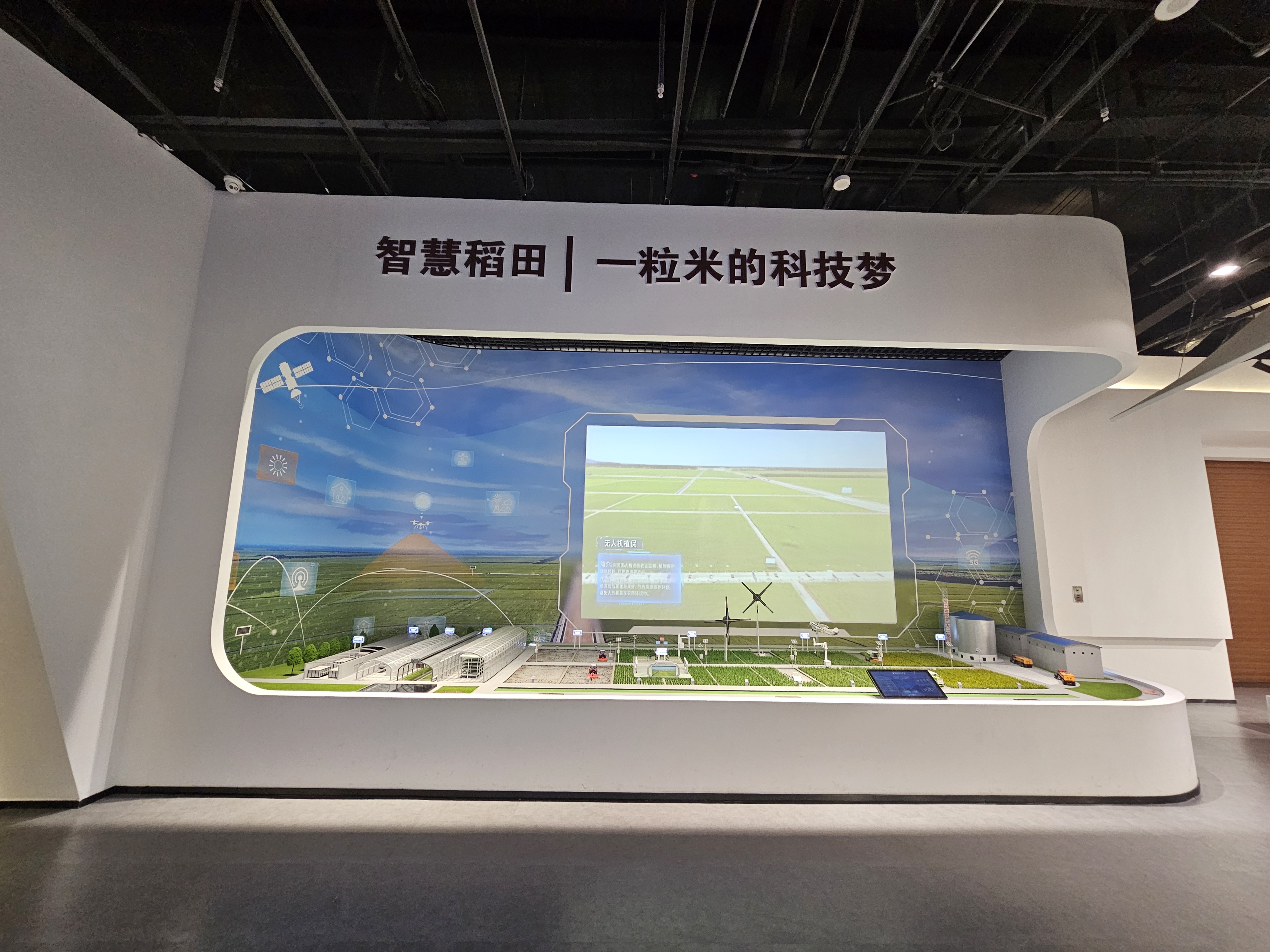 八五九农场:从湿地保护走出“稻路”发展新路径