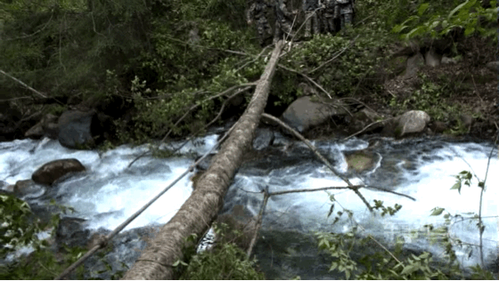 「新华社」这样的特战女兵小姐姐，我爱了！