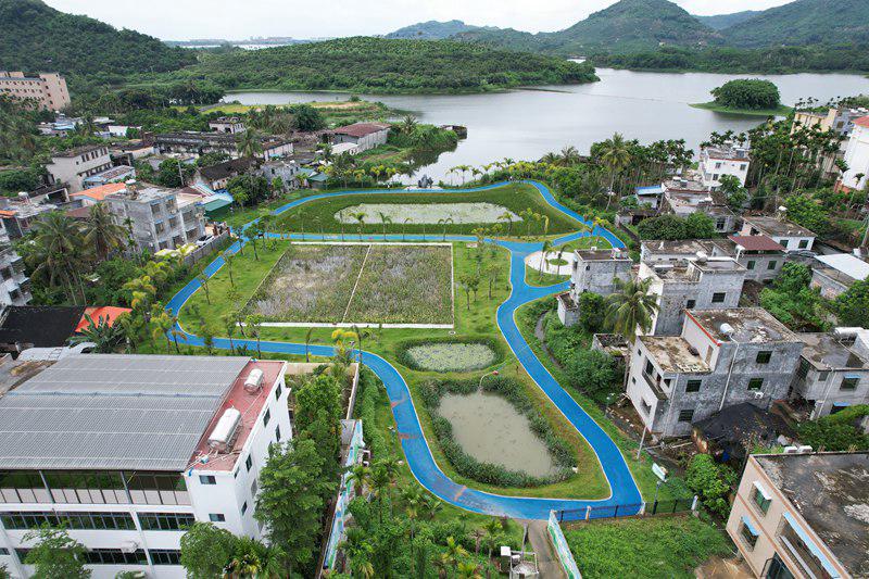 海南保亭:践行“两山”理念 书写“绿色答卷”