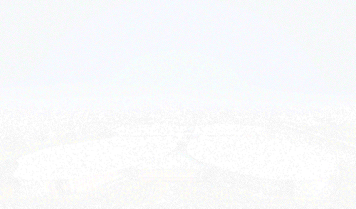 「文汇报」新面孔多了！更优质的营商环境让外资企业更有信心！