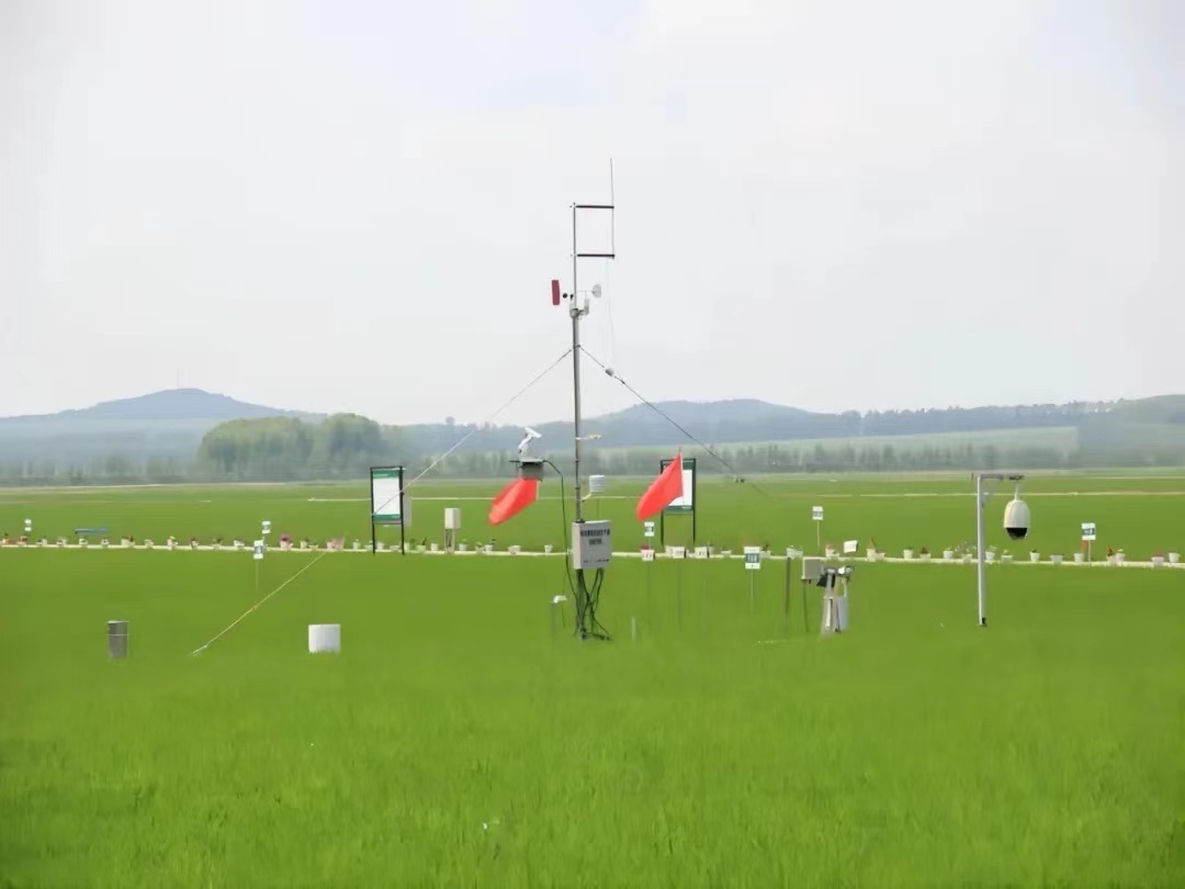 北大荒农业股份八五九分公司:加强气象监测 做好夏管“晴雨表”