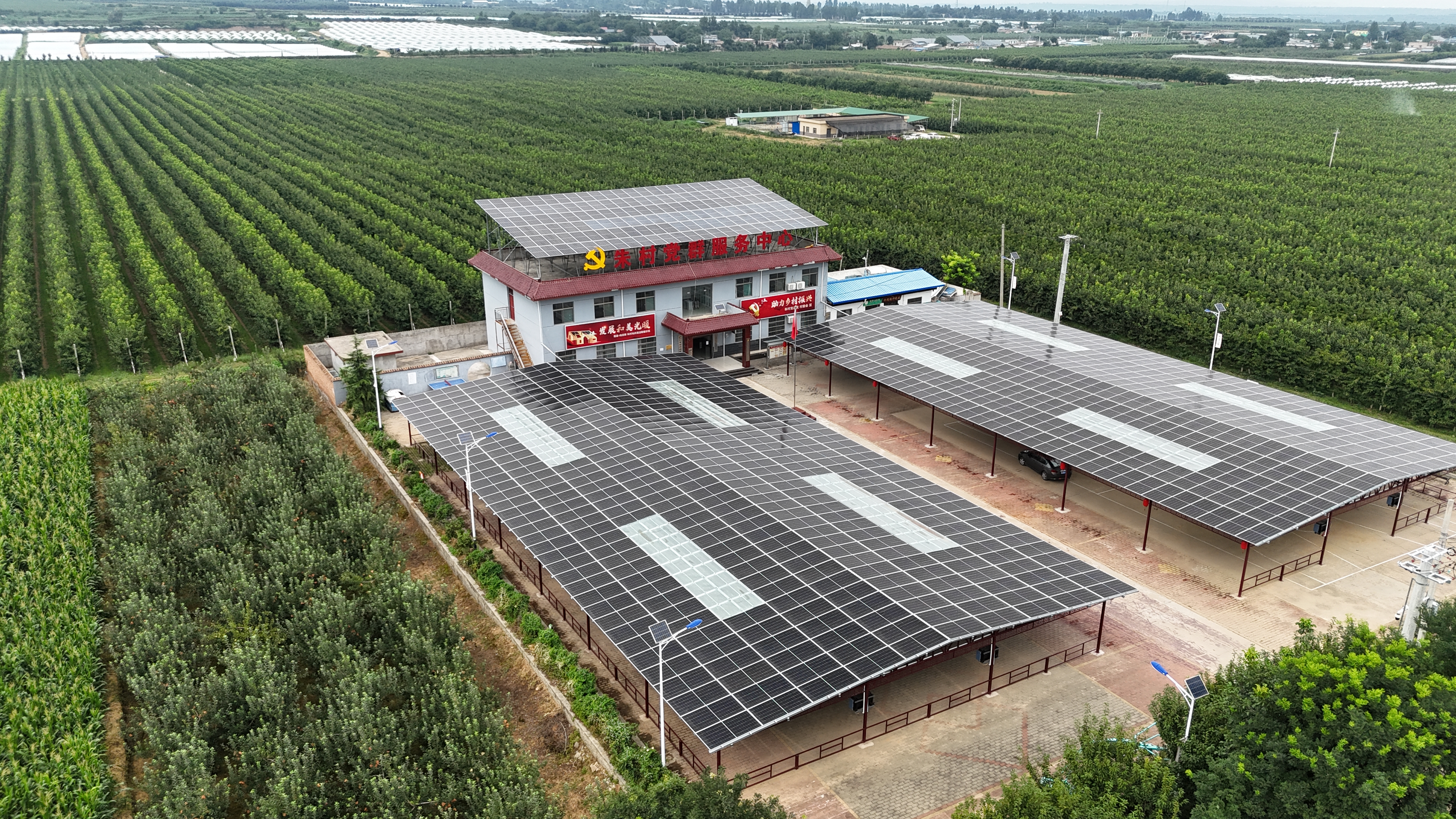 探路“光伏+美丽乡村” 隆基和美光暖方案助力乡村振兴_fororder_图片2