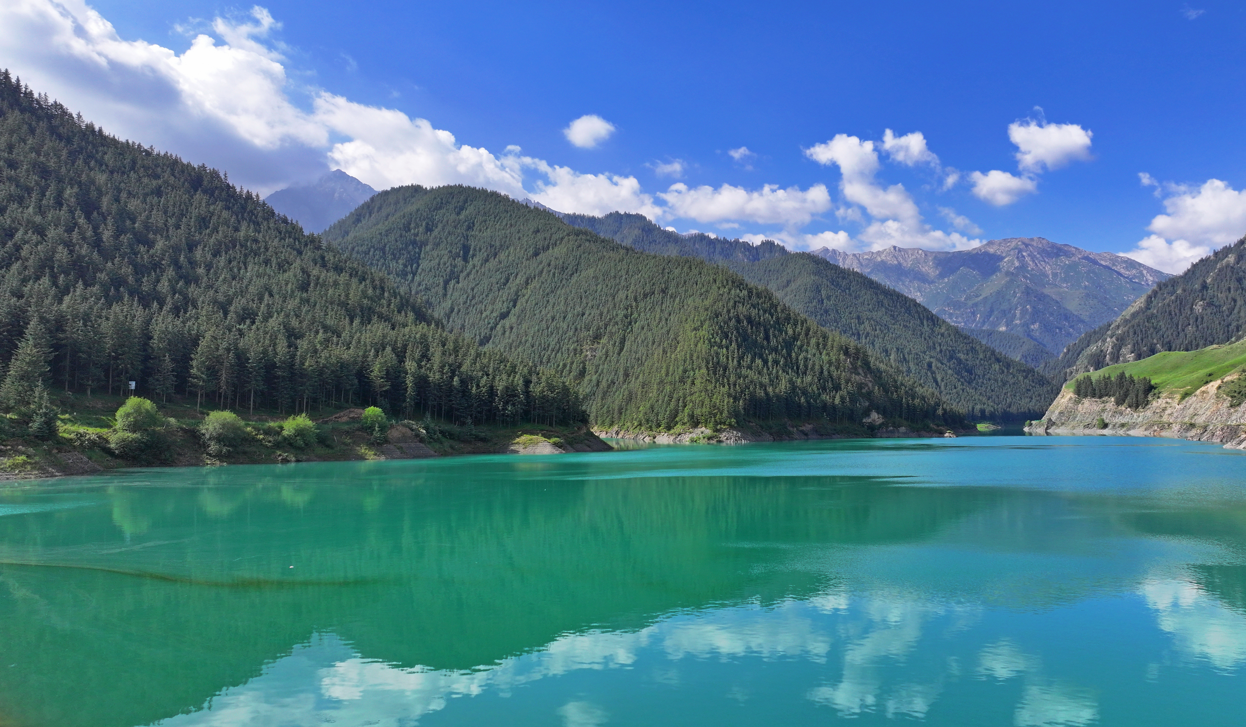 【原创】甘肃民乐:夏日祁连山国家公园景色壮美_fororder_DJI_20240717094916_0460_D.JPG