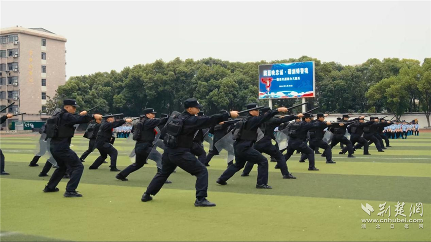 武汉警官职业学院2024年招生宣传片《青春“图”什么》正式发布_fororder_微信图片_20240730105419