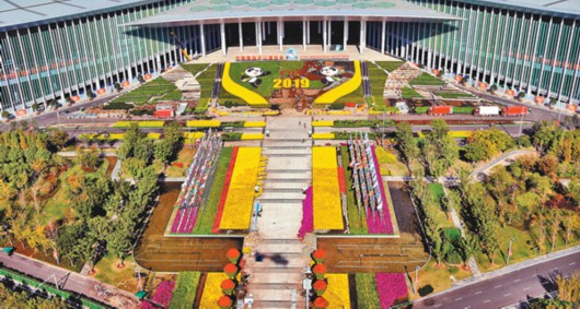 千龙新闻网@【地评线】进博会上惊喜多，“四叶草”里“买全球”