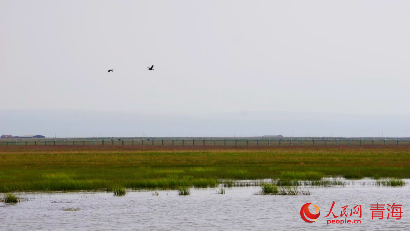 青海:“高原蓝宝石”游人如织享湖光盛宴 青海:“高原蓝宝石”游人如织享湖光盛宴
