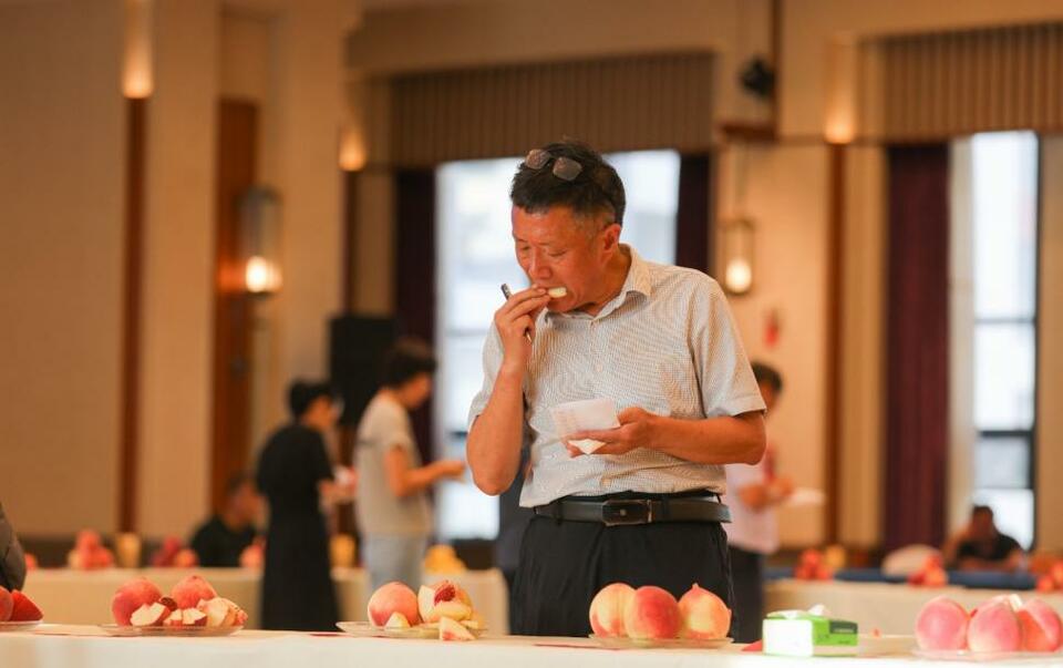 【原创】“蜜”意不同 “桃”香满溢|天水秦安蜜桃鉴评会来啦_fororder_图片5