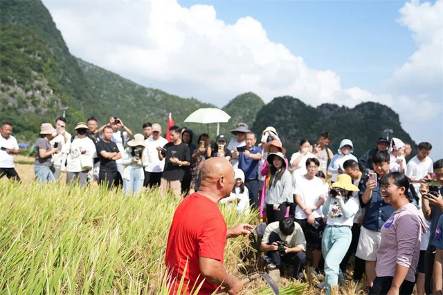 金秋好“丰”景｜万峰林丰收庆典主题网络直播活动圆满收官_fororder_图片4