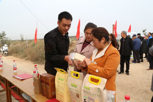 【河南供稿】河南大学特色小麦试验基地落户焦作温县