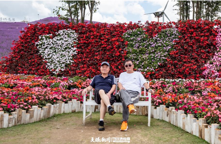 贵阳花溪高坡:紫色花海如梦如幻