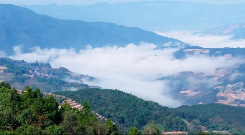 六千里路情牵一“线”,他们让“非遗”走出大山 六千里路情牵一“线”,他们让“非遗”走出大山