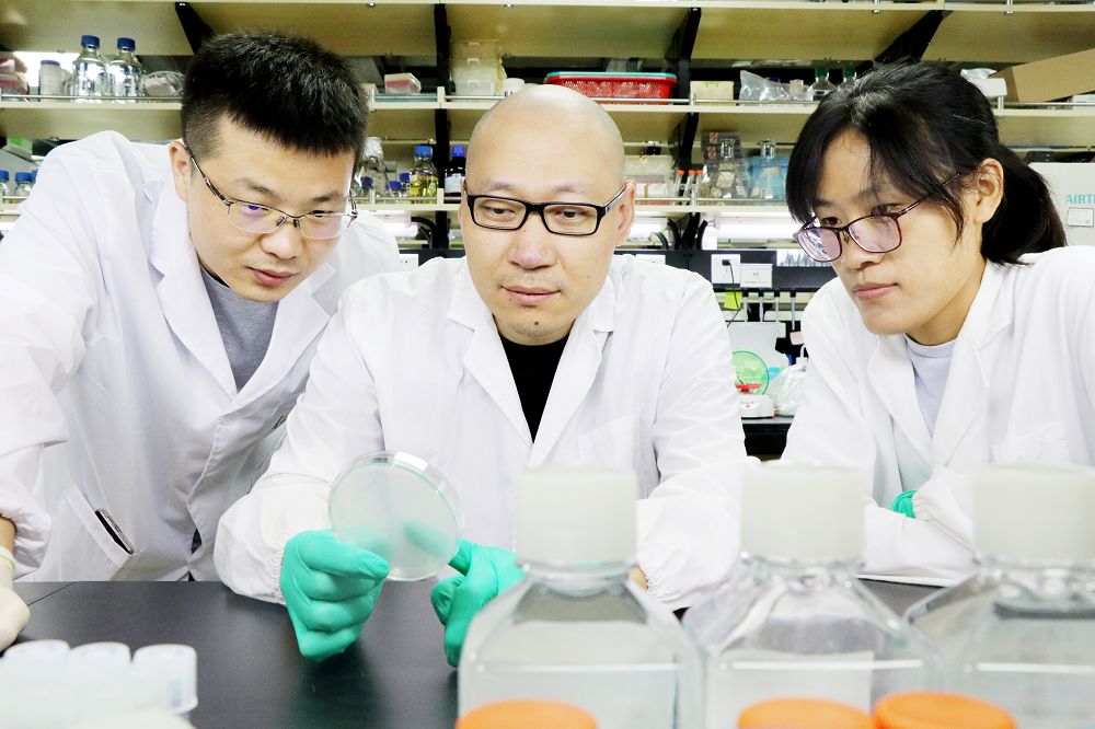 「科技日报」一个公式“算”出生物迁徙进化规律！中国科学家做到
