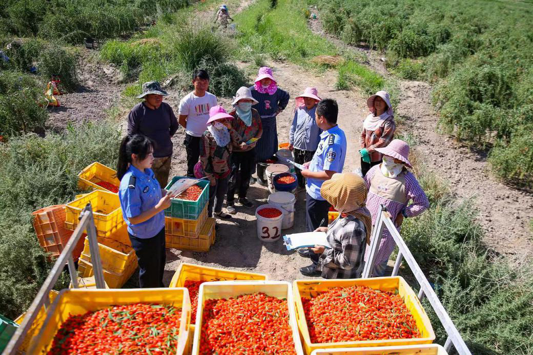 夏季行动|酒泉瓜州公安 : 深化“警调对接”机制,夯实主动创稳根基_fororder_图片3