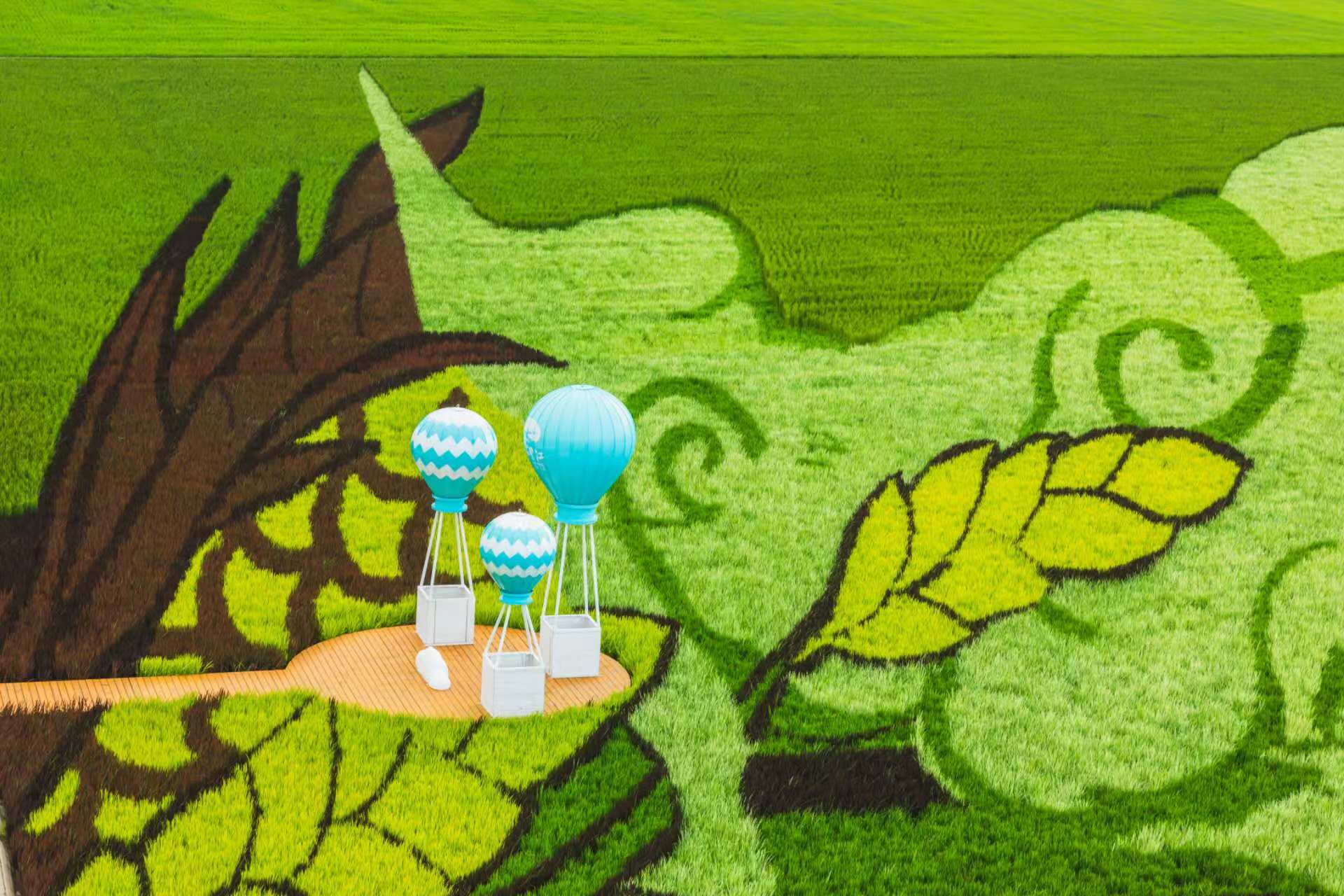 八五九农场:从湿地保护走出“稻路”发展新路径