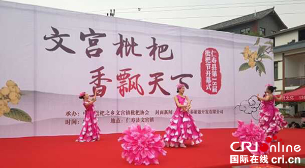 图片默认标题_fororder_枇杷节开幕式表演（摄影-梁娟）