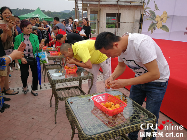图片默认标题_fororder_吃枇杷大赛（摄影-梁娟）