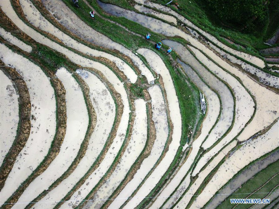 Tanawin ng hagdan-hagdang palayan sa Miao ethnic village sa Lalawigang Guizhou