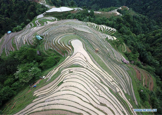 Tanawin ng hagdan-hagdang palayan sa Miao ethnic village sa Lalawigang Guizhou