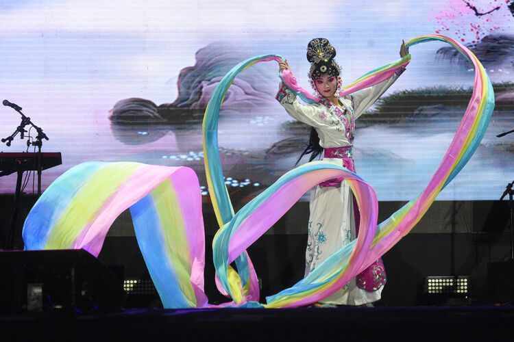 巴西利亚举办沙滩艺术节中国日活动
