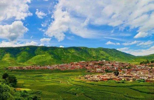 （导航攀枝花）攀枝花仁和区平地镇跻身全国首批“最美森林小镇”