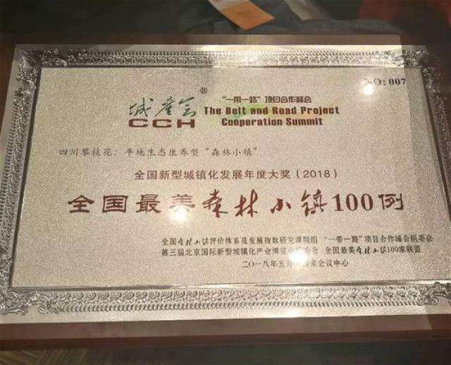 （导航攀枝花）攀枝花仁和区平地镇跻身全国首批“最美森林小镇”