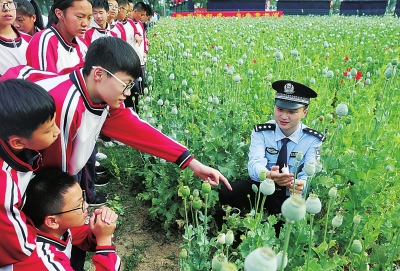 【要闻-文字列表】河南省禁毒办组织青少年探访毒品原植物 识别宣传