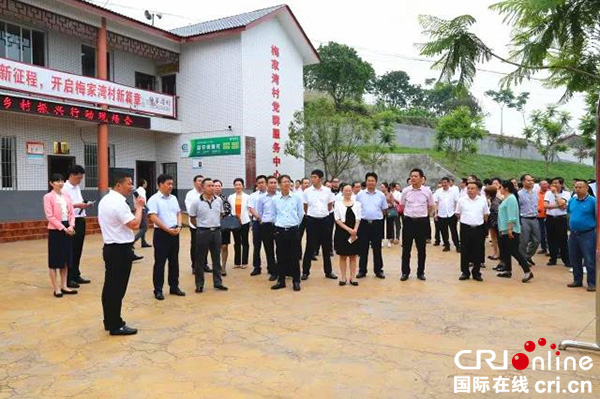 图片默认标题_fororder_会前，部分参会人员实地参观调研乡村振兴行动推进情况