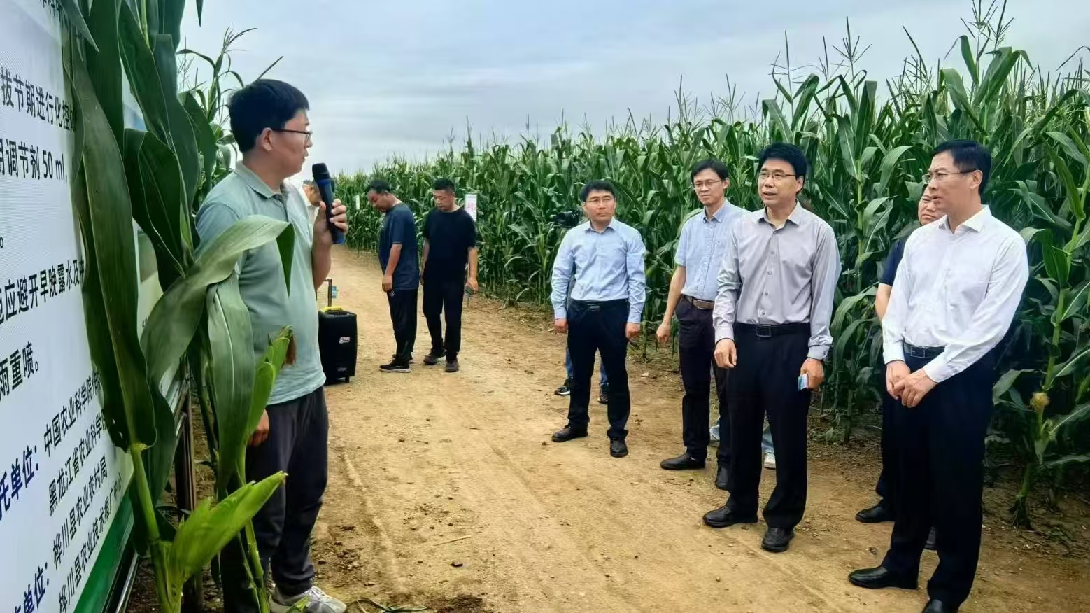 黑龙江省桦川县:科技帮扶助力丰产增收_fororder_图片2